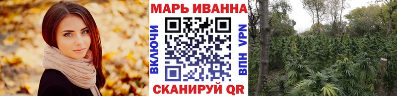Бошки Шишки OG Kush  Купить закладки  Калининград 